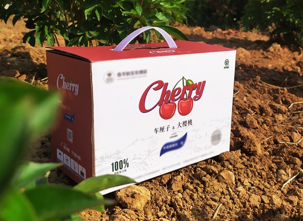 櫻桃、車?yán)遄佣Y盒